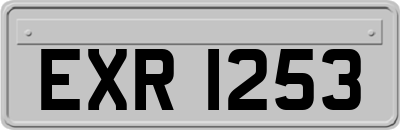 EXR1253
