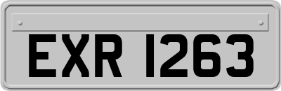 EXR1263