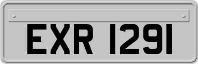 EXR1291
