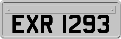 EXR1293