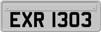 EXR1303