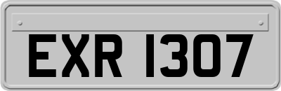 EXR1307