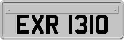 EXR1310