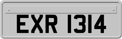EXR1314