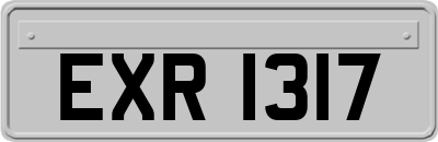 EXR1317