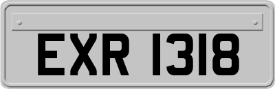 EXR1318