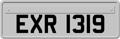 EXR1319