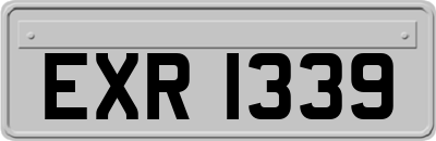 EXR1339