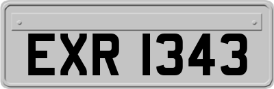 EXR1343