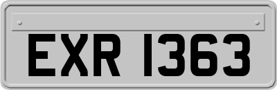 EXR1363