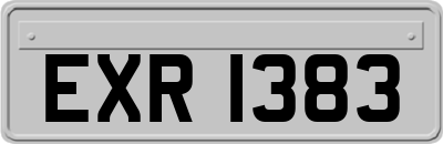 EXR1383