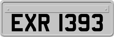 EXR1393