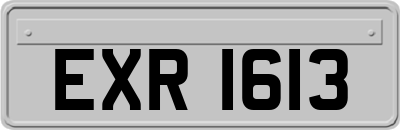 EXR1613