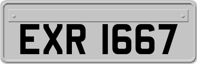 EXR1667