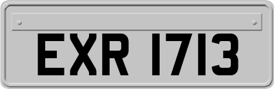 EXR1713