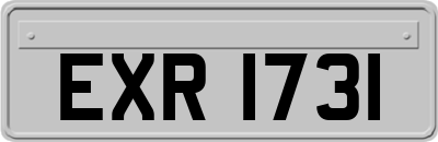 EXR1731