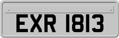 EXR1813