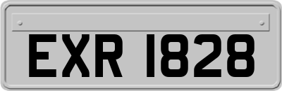 EXR1828