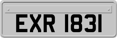 EXR1831