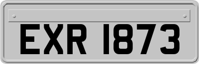 EXR1873