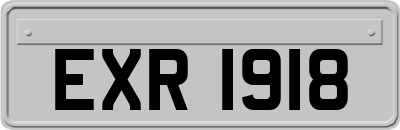 EXR1918