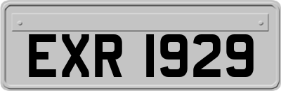 EXR1929