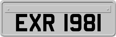 EXR1981