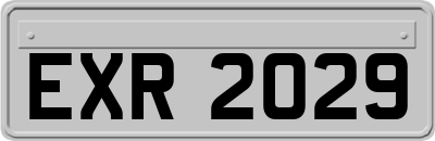 EXR2029