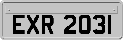 EXR2031