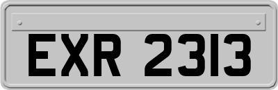 EXR2313