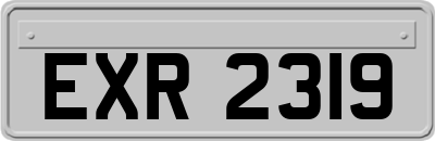 EXR2319