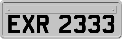 EXR2333