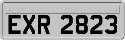 EXR2823