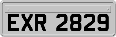 EXR2829