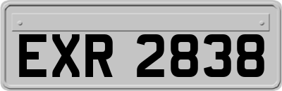 EXR2838