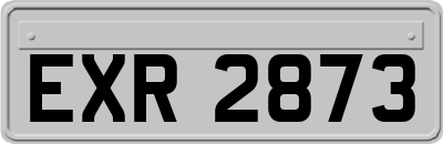 EXR2873
