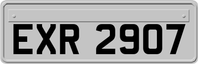 EXR2907