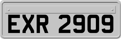 EXR2909