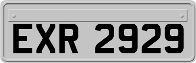 EXR2929