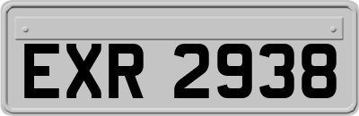 EXR2938