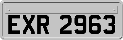 EXR2963
