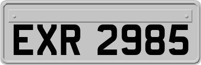EXR2985