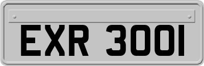 EXR3001