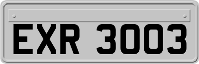 EXR3003