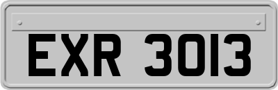 EXR3013