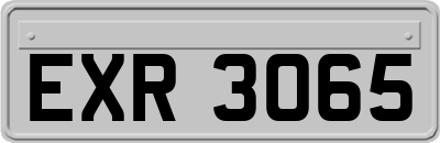 EXR3065