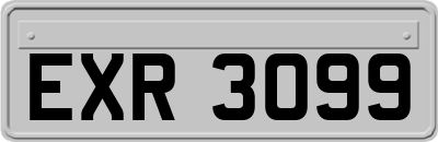 EXR3099