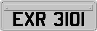 EXR3101