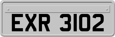 EXR3102