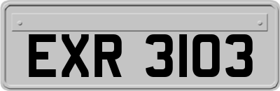 EXR3103